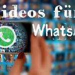 Woher bekommt man lustige Videos für Whatsapp?